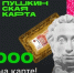 Пушкинская карта - Куртамышская ЦРБ