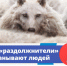 Раздолжнители. - Куртамышский муниципальный округ