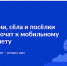 Подключи свой населенный пункт к интернету. - Куртамышский муниципальный округ
